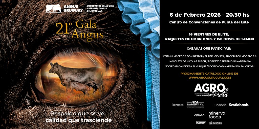 AngusUruguay's tweet image. Con mucha alegría compartimos la oferta de nuestro Remate Gala Angus 
remategala.uy/wp-content/upl… Remata: @ZambranoyCia
Financia:@ScotiabankUy 
Viernes 6 de Febrero ⏰20:30 en @agroenpunta