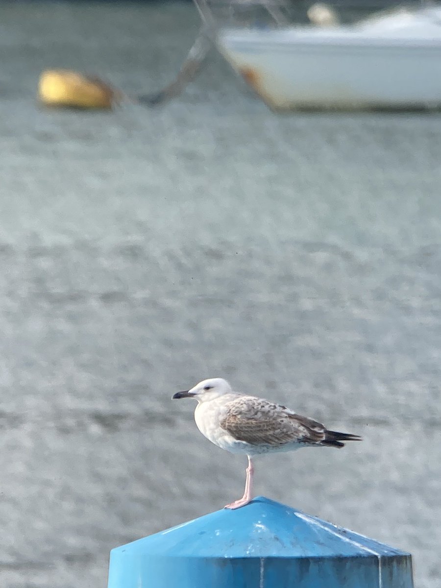 Mark Bailey tweet media