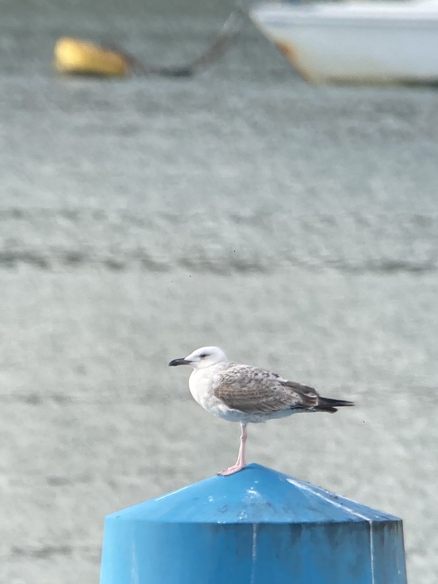 Mark Bailey tweet media