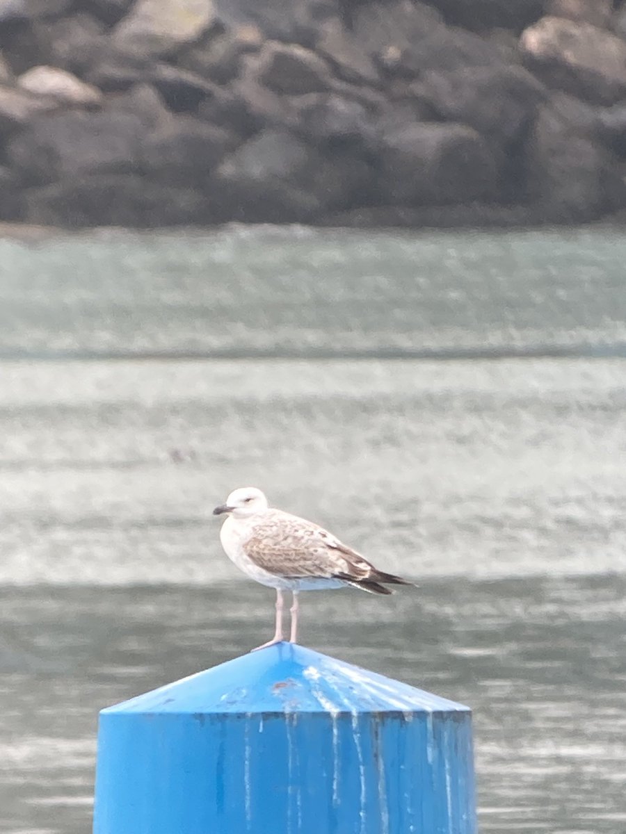 Mark Bailey tweet media