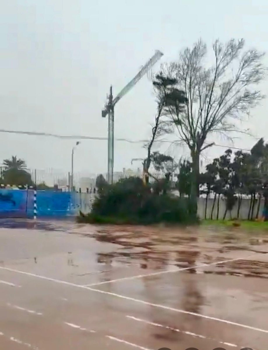 ‼️ Está claro que algo ha fallado hoy y la Junta de Andalucía debería haber decretado el cierre de colegios en toda la provincia de Cádiz para evitar riesgos innecesarios a alumnado y personal. 
📸 A modo de ejemplo: Salesianas Cádiz y Miguel de Cervantes de Zahara de los Atunes.