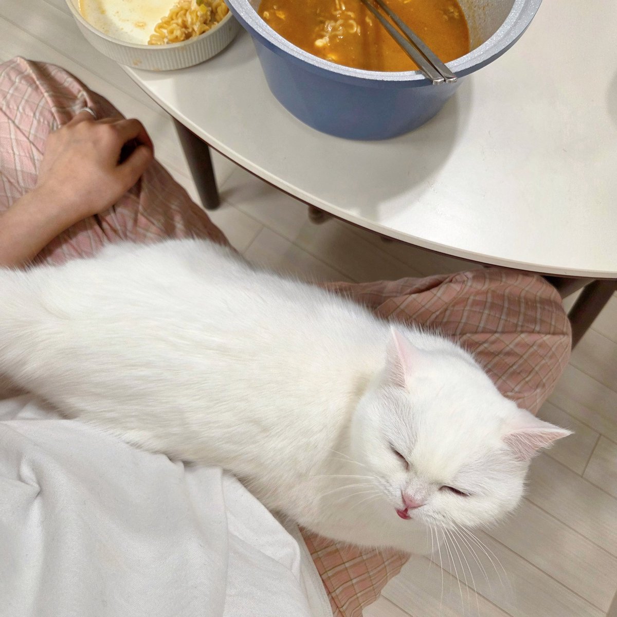 국물 한방울이라도 흘리면 큰일나는 식사