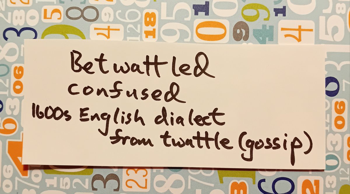 Grace Tierney tweet media