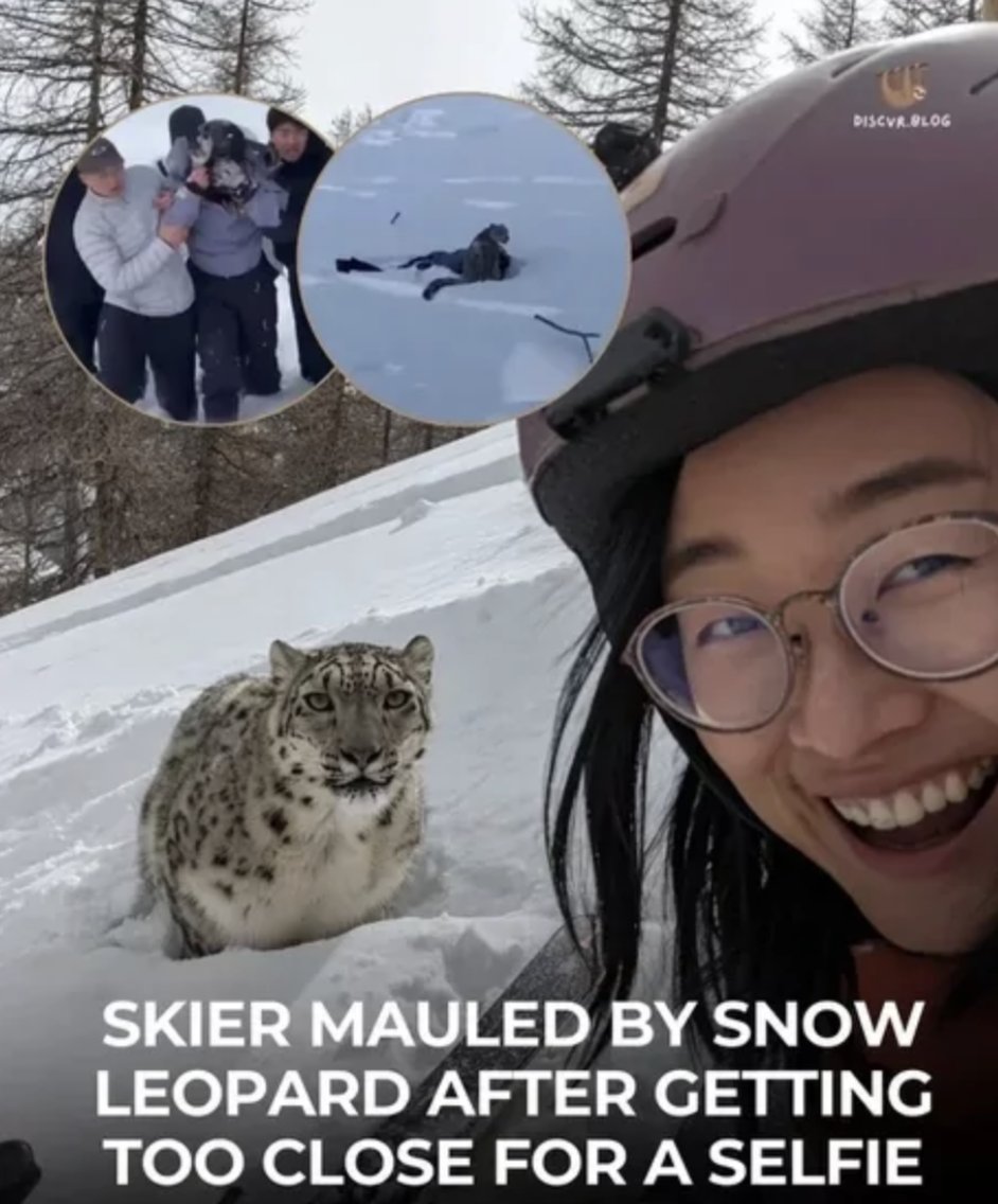 Men's Humor tweet media