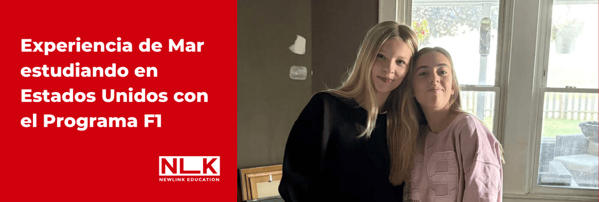 Newlink Education tweet media