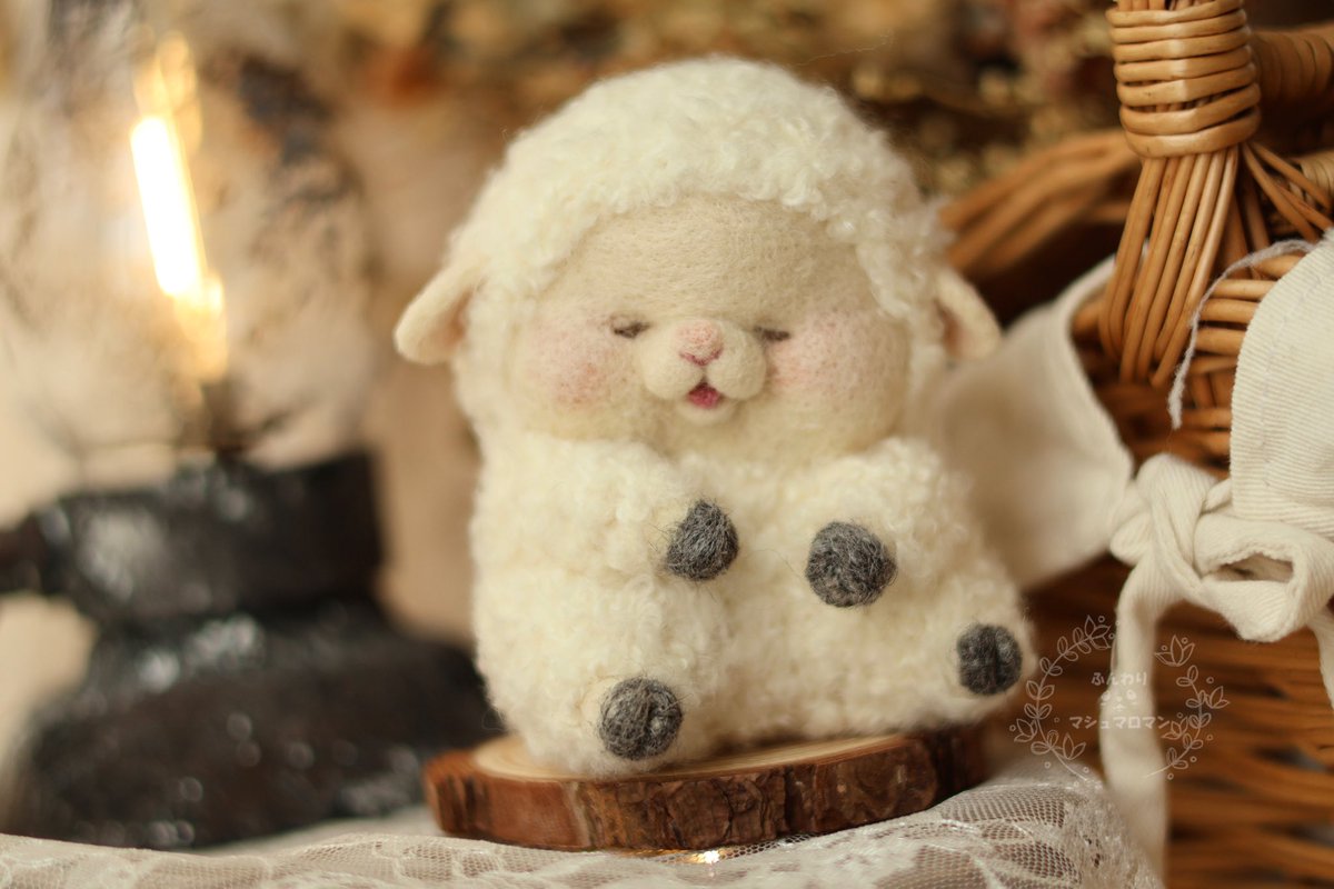 昨日たくさん見てもらえた 寝落ちしちゃったひつじちゃん、 ちゃんと