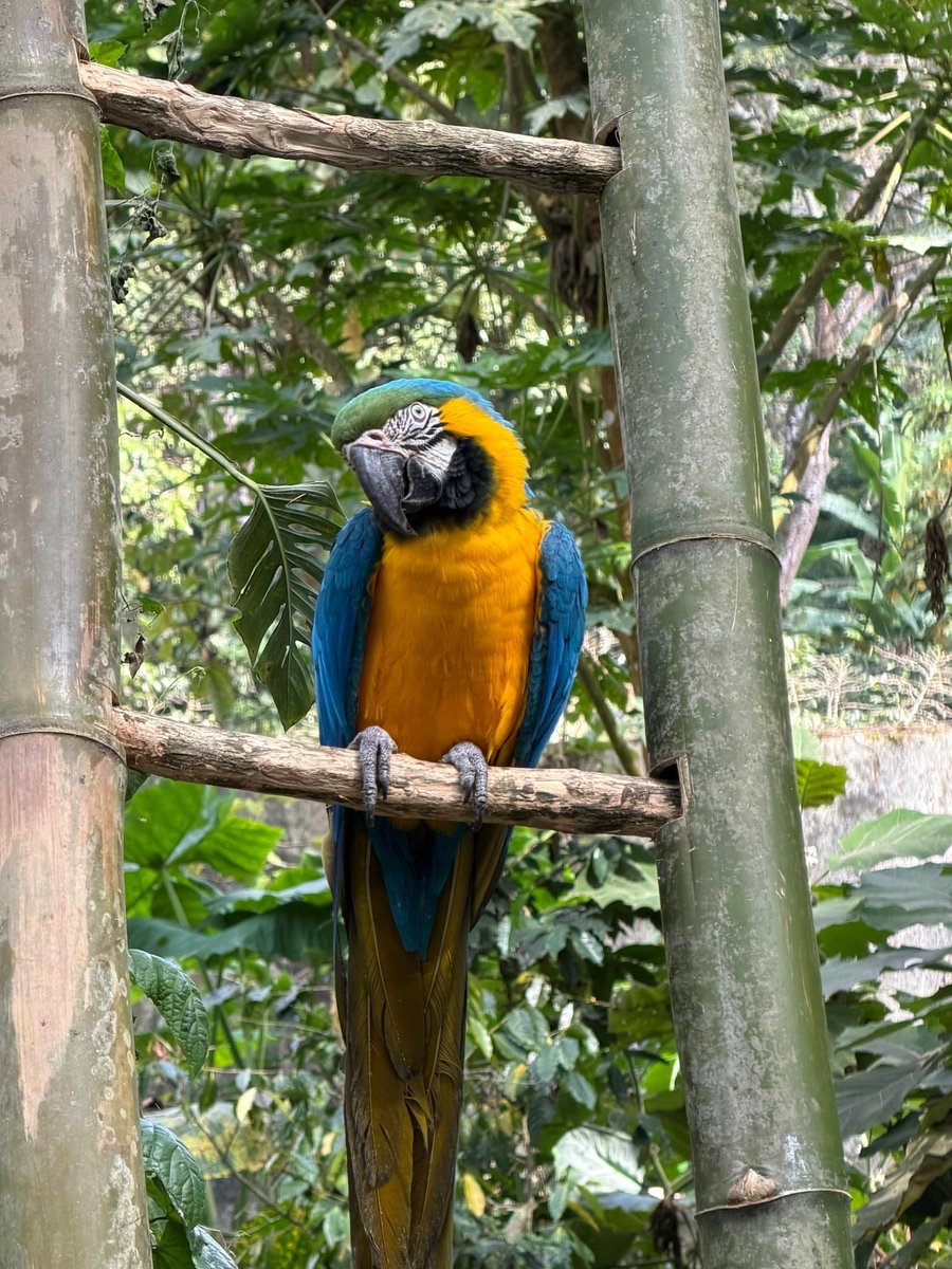 CORPAMAG tweet media