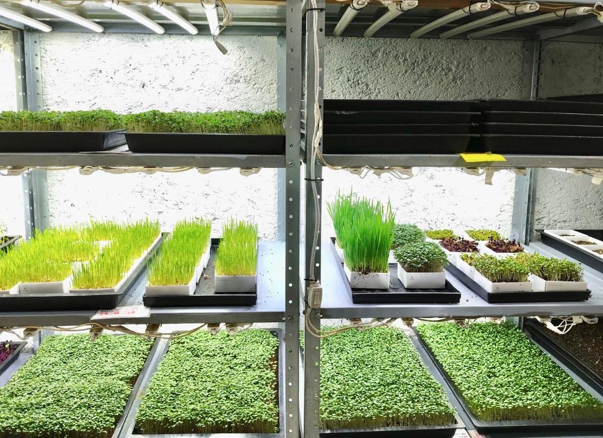 Bryan Rivera tweet media