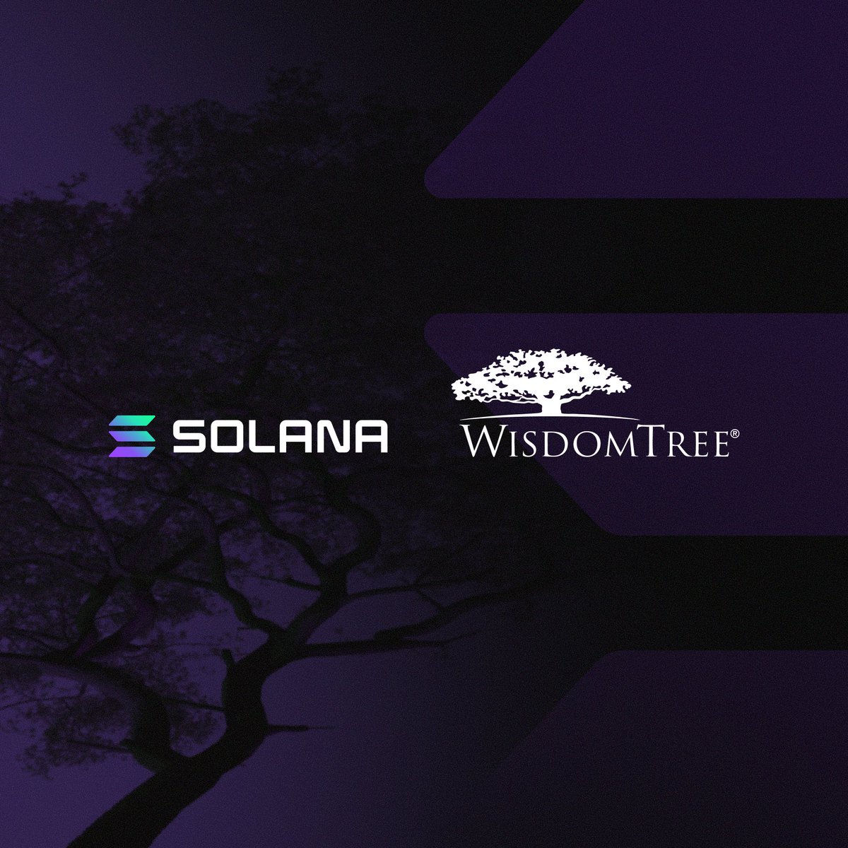 solana's tweet image. BREAKING: WisdomTree expands tokenized fund access to Solana

Enabling retail and institutional users to transfer, and hold @WisdomTreePrime’s full suite of regulated tokenized funds on Solana