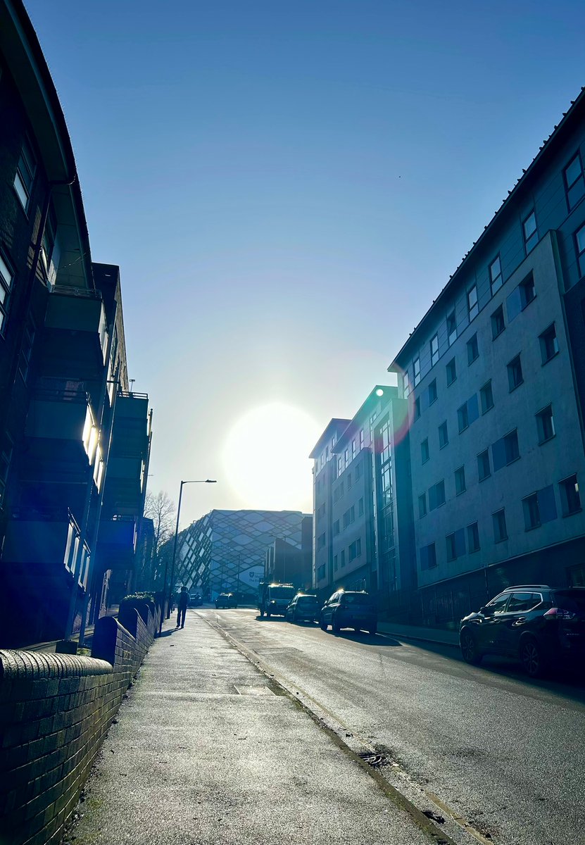 Equipo volvió a salir el sol y recuperé mis sueños y esperanzas en la vida. Que felicidad tan malparida 🥹💛🐥🌻☀️