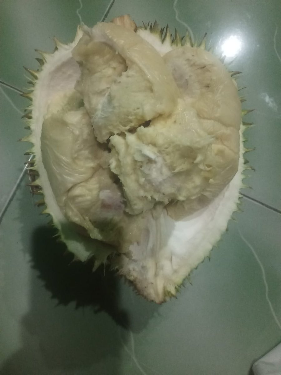 sekarang lagi musim duren harganya murah bangeett dan aku tiap hari mam dureennn.