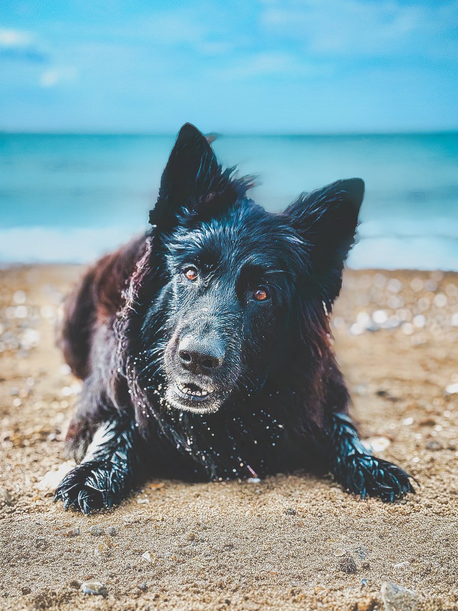 Smitho.graphics | AuDHD Fueled Designer tweet media