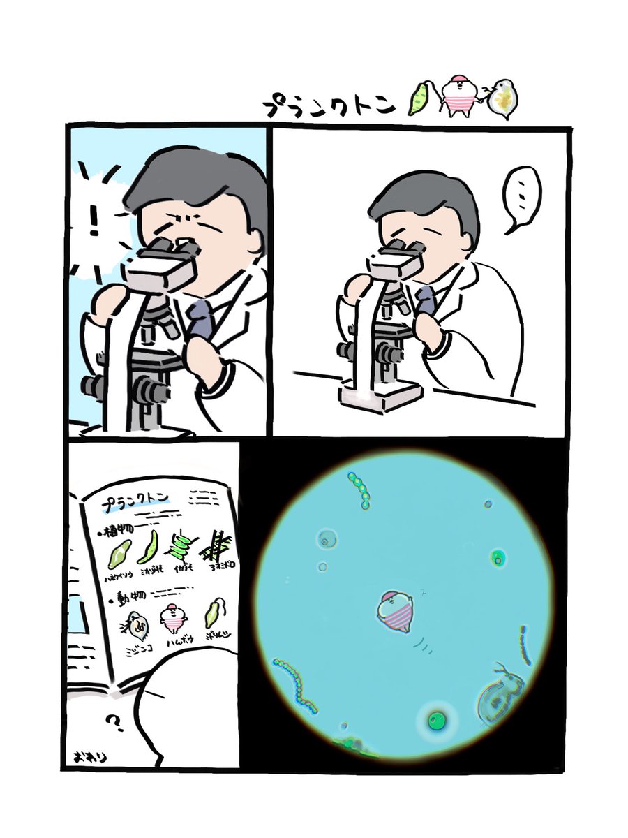 ﾌﾟﾗﾝｸﾄﾝ 🦠？
#ハム坊