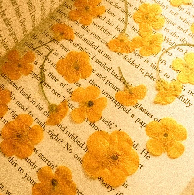 🌿🌼🧺 tweet media