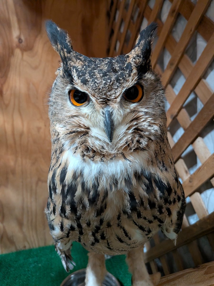 ただいま〜。ご飯持ってくるから、もう少し待っててね