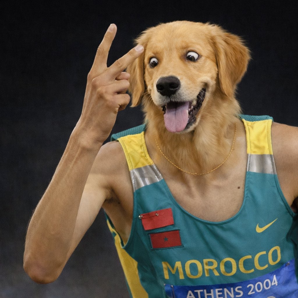 Barking Puppy (@bpuppy80020) on Twitter photo 