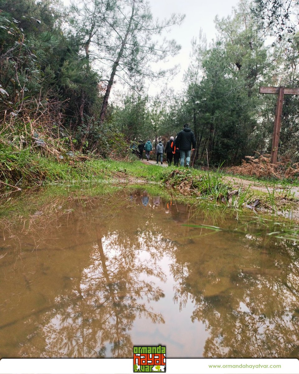 ohayatvar's tweet image. “Ormanda Hayat Var”

Şehir hayatının stresinden uzaklaşmak, doğayla yeniden bağ kurmak ve zihinsel bir mola vermek isteyenler için harika bir haberimiz var!

Detaylı Bilgi ve Katılım:
ormandahayatvar.com