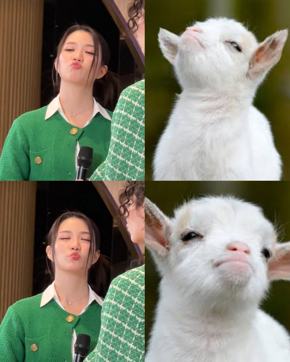 __nini98's tweet photo. Close enough. 😂🤏🏻

GINJAY X GRABFOOD
#GrabFoodถูกกว่าชัวร์xGINJAY https://t.co/TohVC62bPj