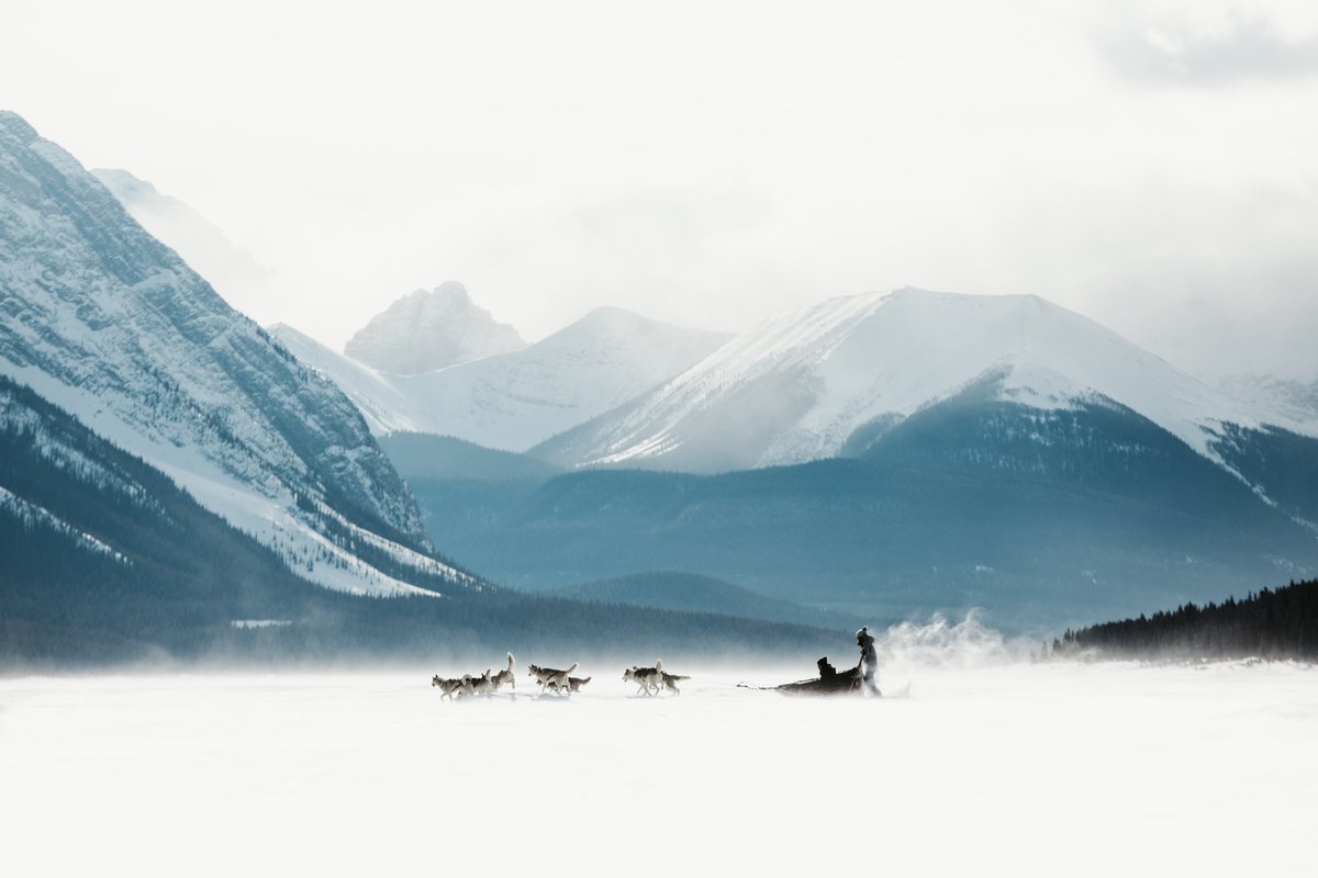 CanadaExplore's tweet image. カナナスキス・カントリー白銀の雪原を犬ぞりで疾走。カナダの先住民文化と壮大な自然を味わえる本格的な冬の大冒険です❄️
📷 Travel Alberta / MIke Seehagel
📍 Kananaskis Country, AB
#カナダのその奥へ #explorecanada