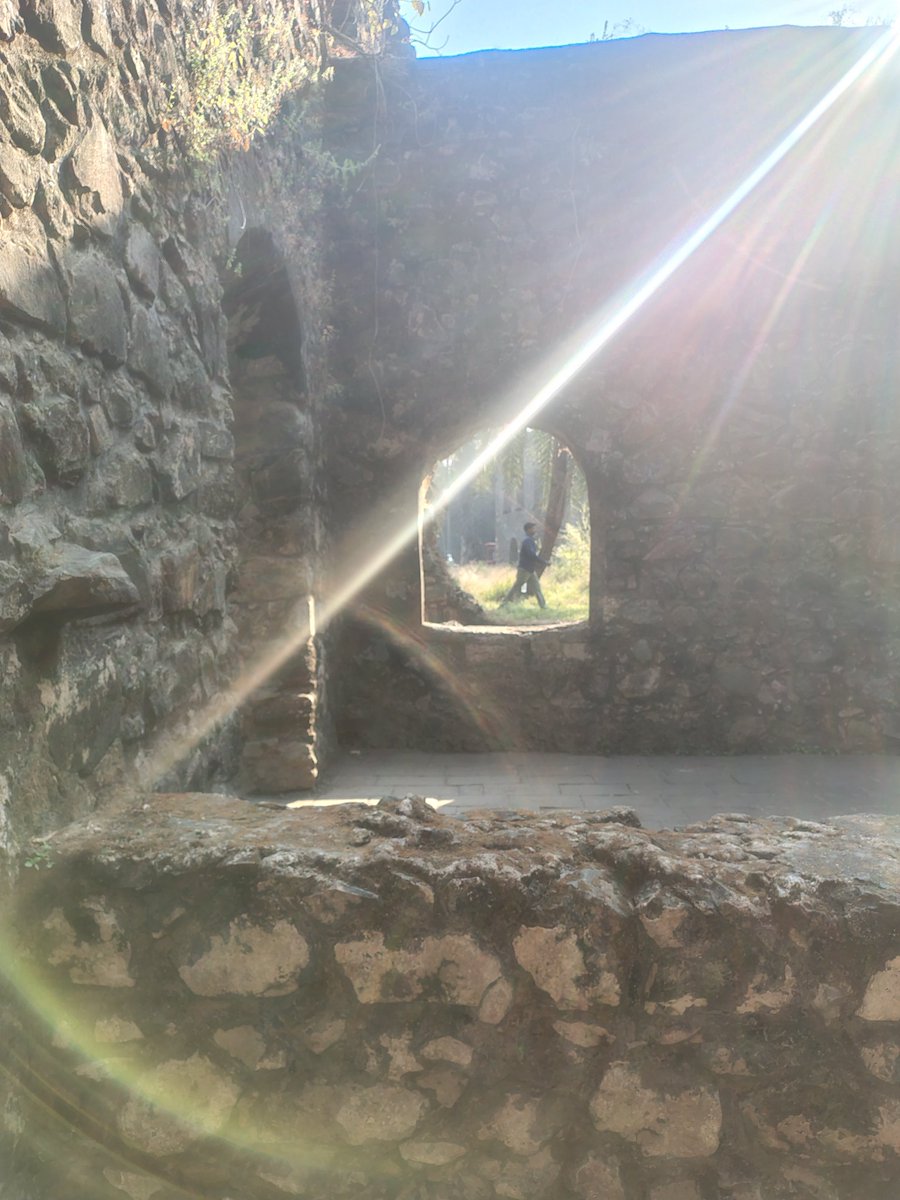 naagrik12323056's tweet photo. @mskhirwar Whether I call it sunbeam or Ray
#theme_pic_India_sunbeams
#nature
#oldstructure https://t.co/mpyTlaUxBN