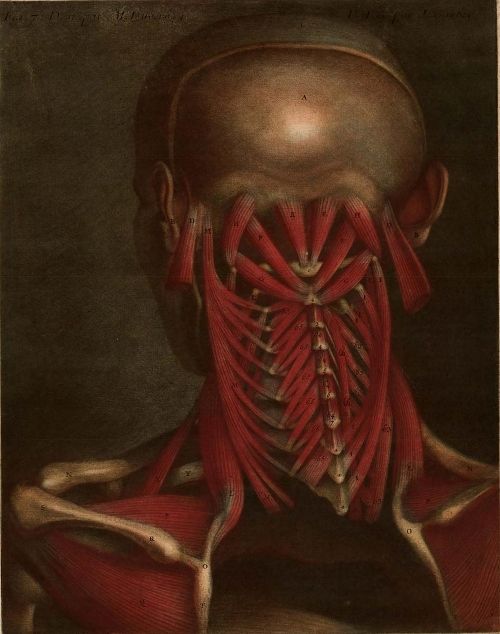 The Public Domain Review tweet media