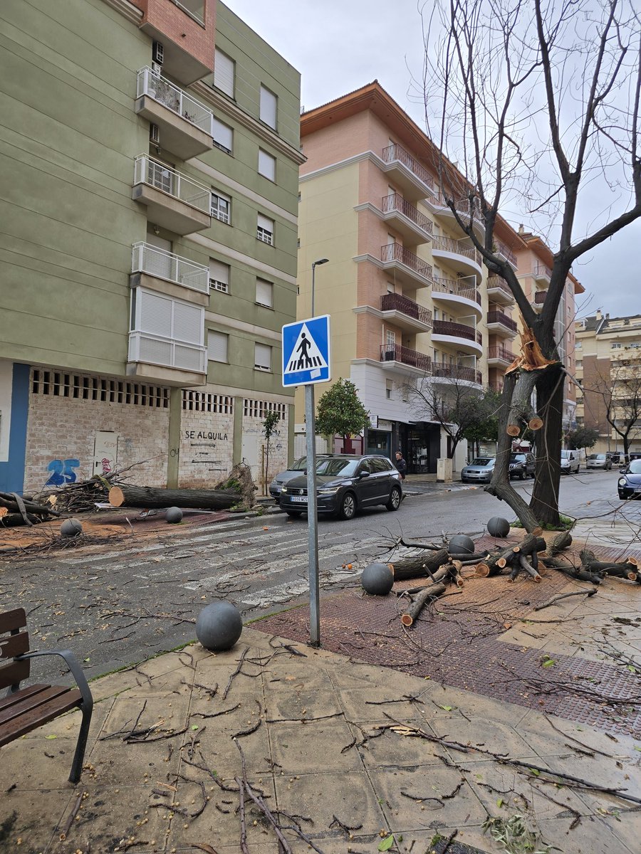 Meteo Jaén tweet media