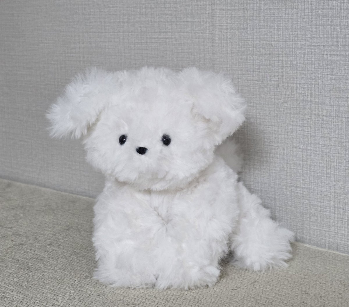 하다ʕ·-·ʔ ฅ 🧶 tweet media