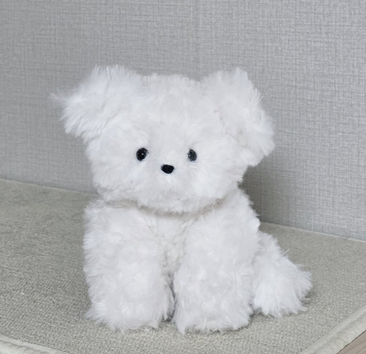 하다ʕ·-·ʔ ฅ 🧶 tweet media