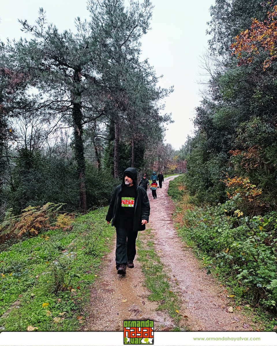 ohayatvar's tweet image. Harika bir havada, doğayla iç içe keyifli bir yürüyüş yaptık. Temiz hava, bol oksijen ve güzel anılar biriktirdik. 🌲☀️
İstanbul, Başakşehir, Şamlar Tabiat parkı yürüyüşü.

#OrmandaHayatVar #DoğaYürüyüşü #DoğadaHayat #TemizHava #DoğayıKeşfet #HaftaSonu #DoğaSevgisi #SağlıklıYaşam