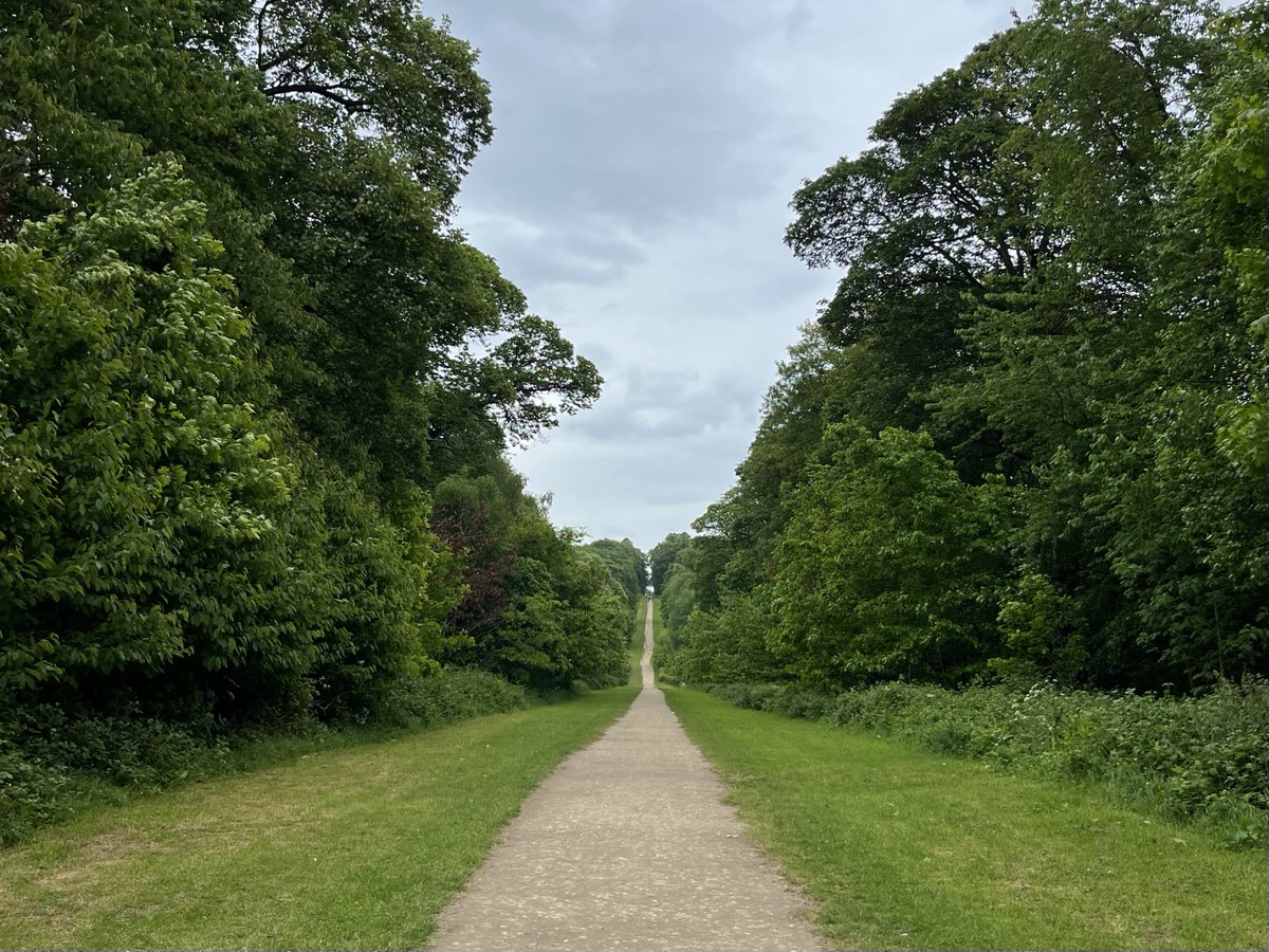 rly cool girl tweet media