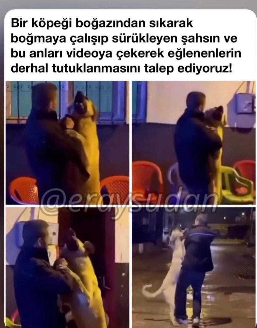 Fugen Özcan tweet media