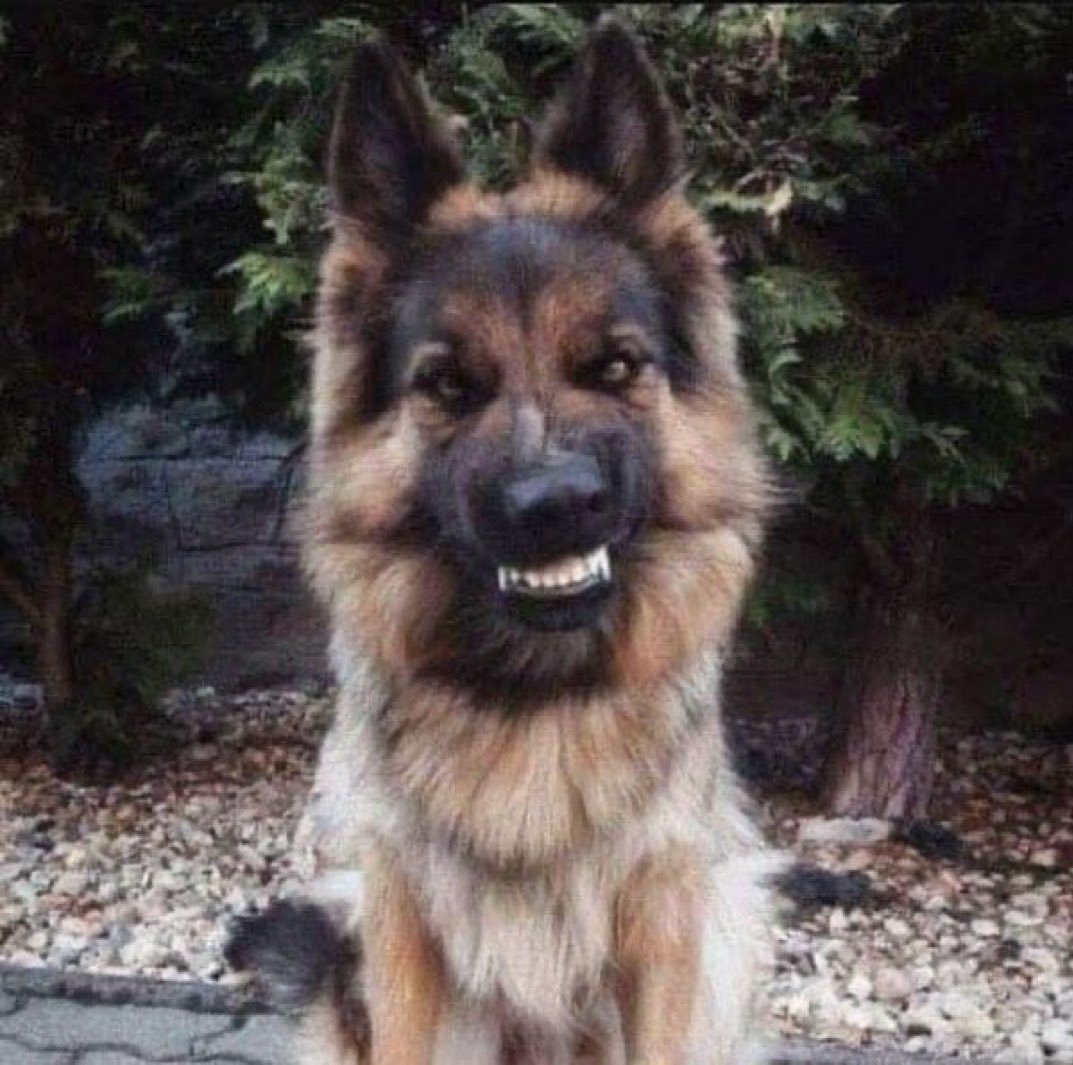 "I am smiling, just take the fucking photo"