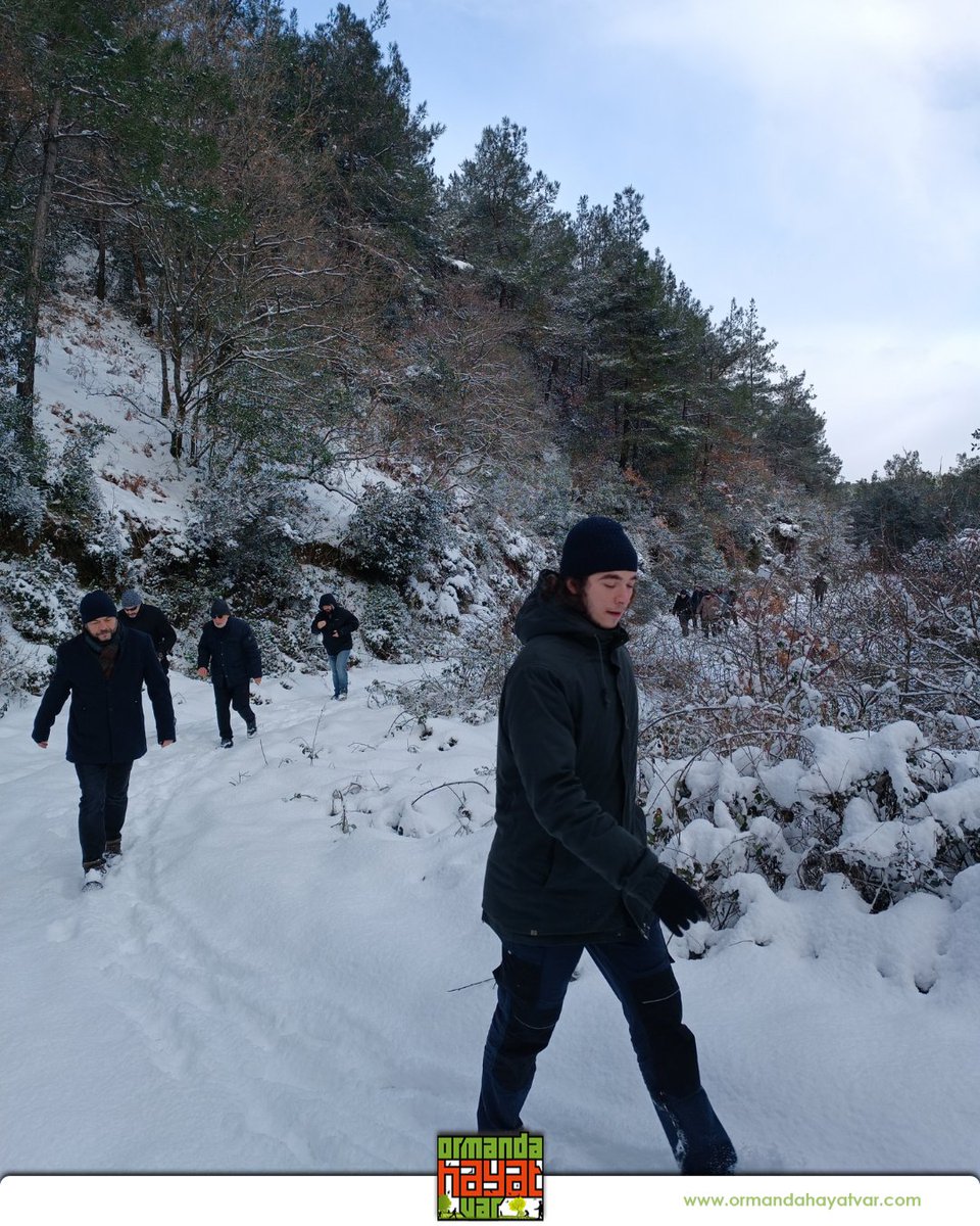 ohayatvar's tweet image. Kışın en güzel hali doğada saklı. ❄️ Ormanın derinliklerinde, bembeyaz bir yolculuk. Unutmayın; macera bittiği yerde değil, doğanın başladığı yerdedir! 
#OrmandaHayatVar #DoğaYürüyüşü #KışYolculuğu #KarManzarası #TrekkingTurkey #DoğaSeverler #OutdoorLife #WinterHiking #KarKeyfi
