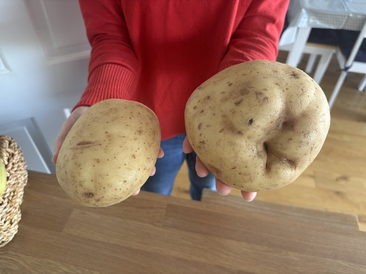 Robin Fisher 🐟 🥁 tweet media