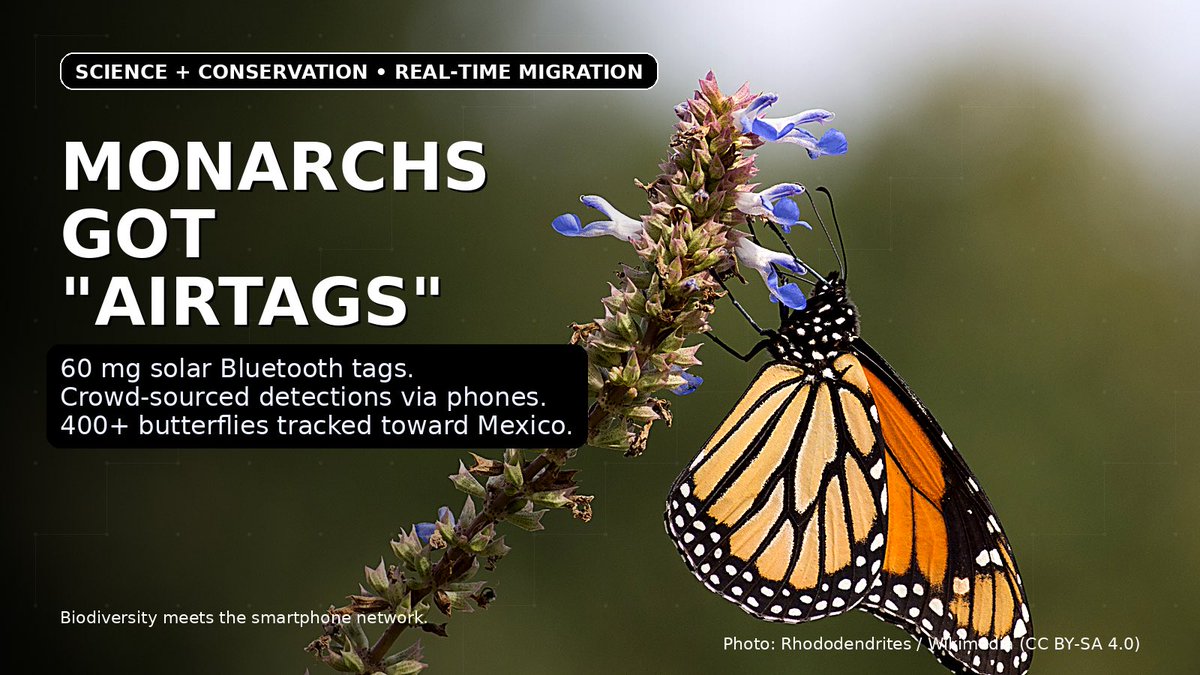 I didn’t expect to be thinking about butterflies at 7am, but someone basically built an “AirTag” for monarchs.

Researchers (UM + Princeton) are fitting monarch butterflies with tiny radio tags, and the wider Project Monarch effort has already tagged 400+ migrants.

The tag is 60