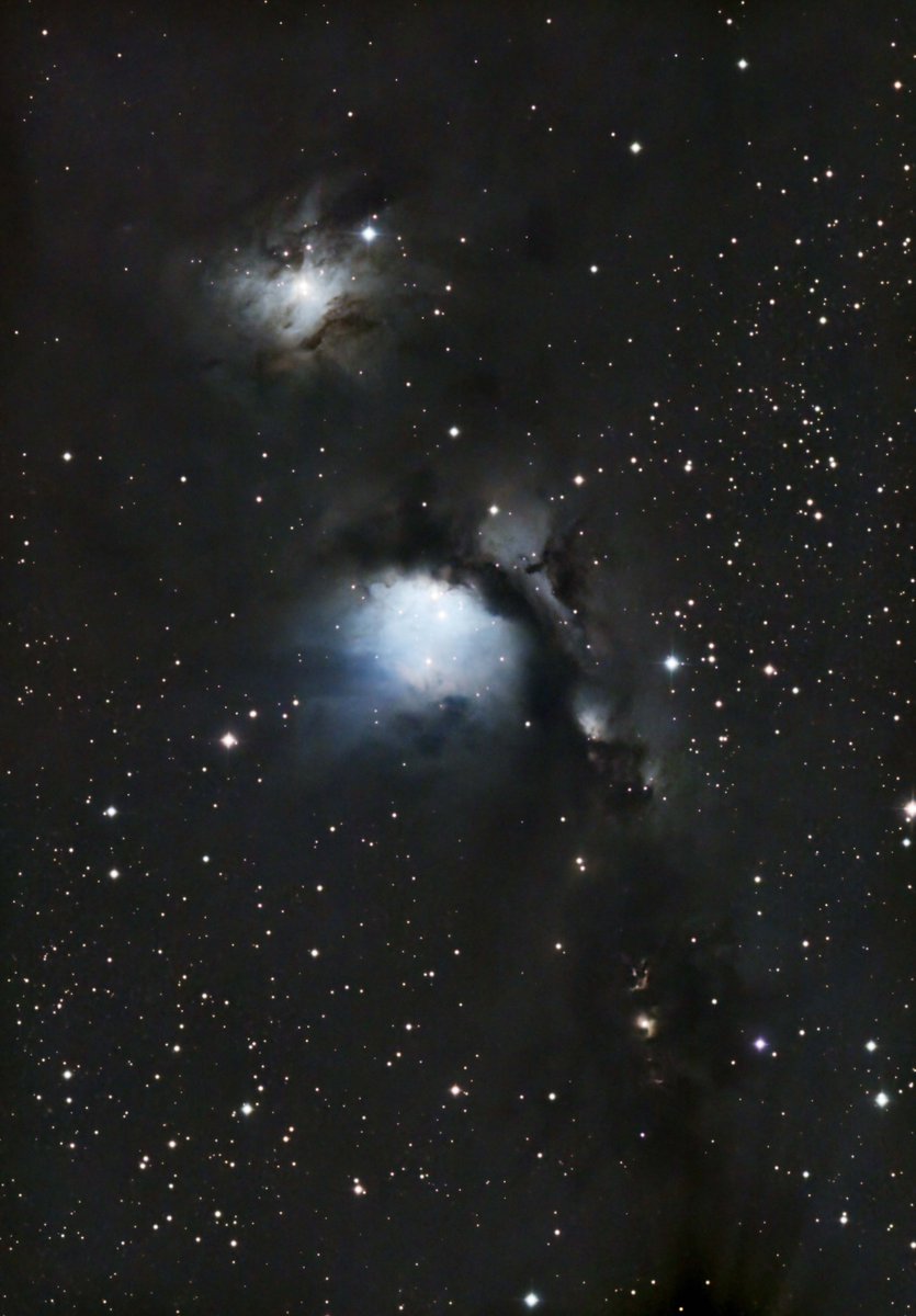 先日の土曜日夜に撮影したM78です。135mmでオリオン座下半分全体、R200SSでM78を拡大で狙いました。
色がきれいで、好きな対象の一つです。
これからのシーズン、この組み合わせ（R200SS＋ExtenderPH）が活躍します。