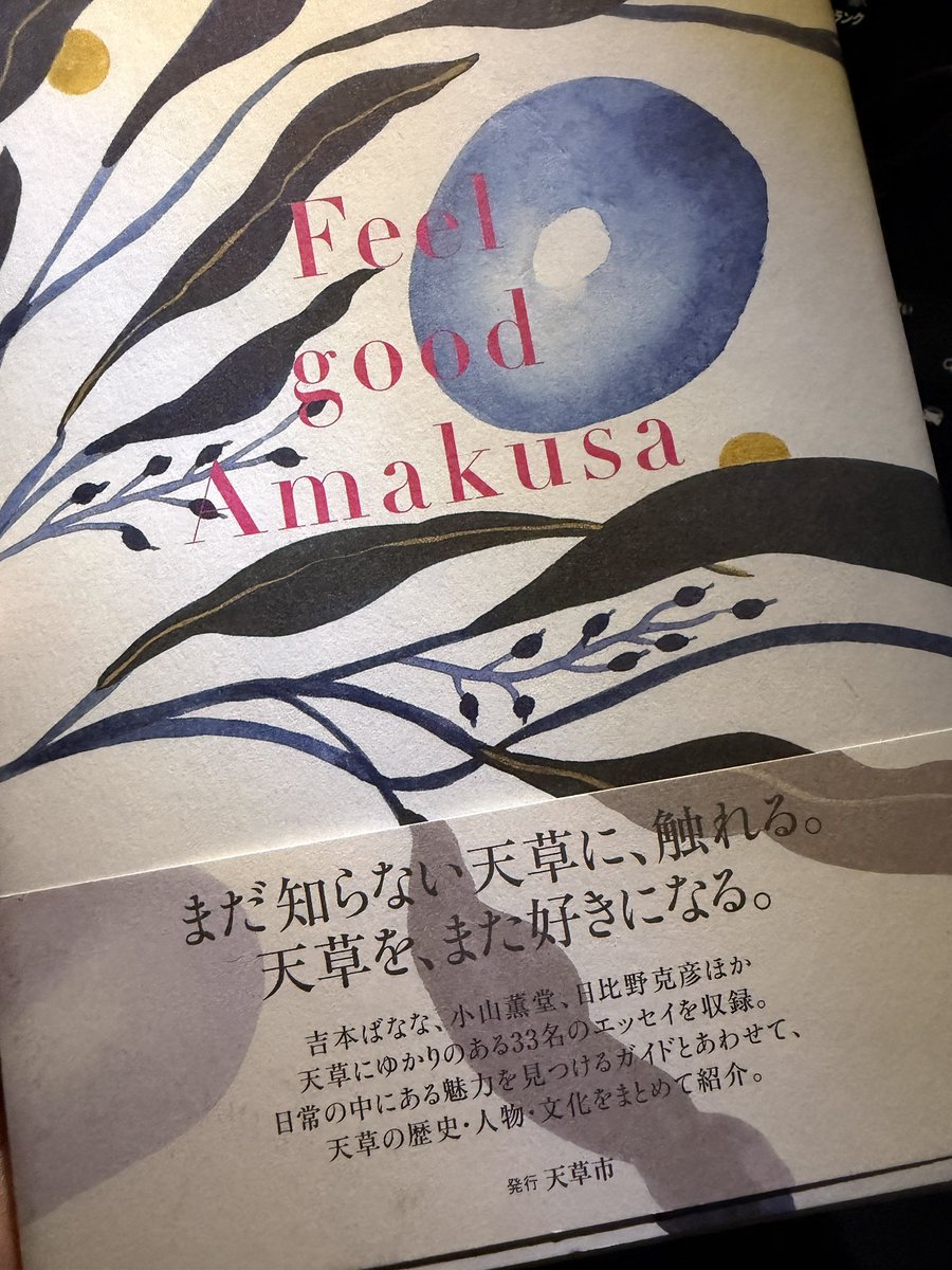 【希少】【レア】自己実現の経営 スタートダッシュデッキ プレミアム！竜の姫君 ｜ Z/X - Zillions of