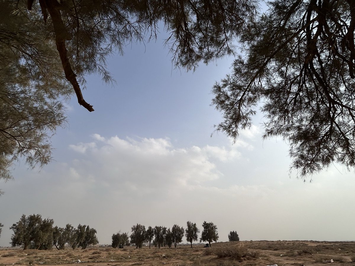 HananAlHumaid's tweet image. بعيش لحظات الفرح دامني حي
وبزرع الضحكه بجرد الشفايف

 ولا ألحق الشرهات شي ماهو لي 
ولا عدت أجزع من فراق الولايف

إن غاب غالي فالحزن باخذ شوي 
أيام .. وتروح علومه طرايف

موصي قلبي لا شفت الخطأ عي
 اما تعدلها .. أو تصد عايف