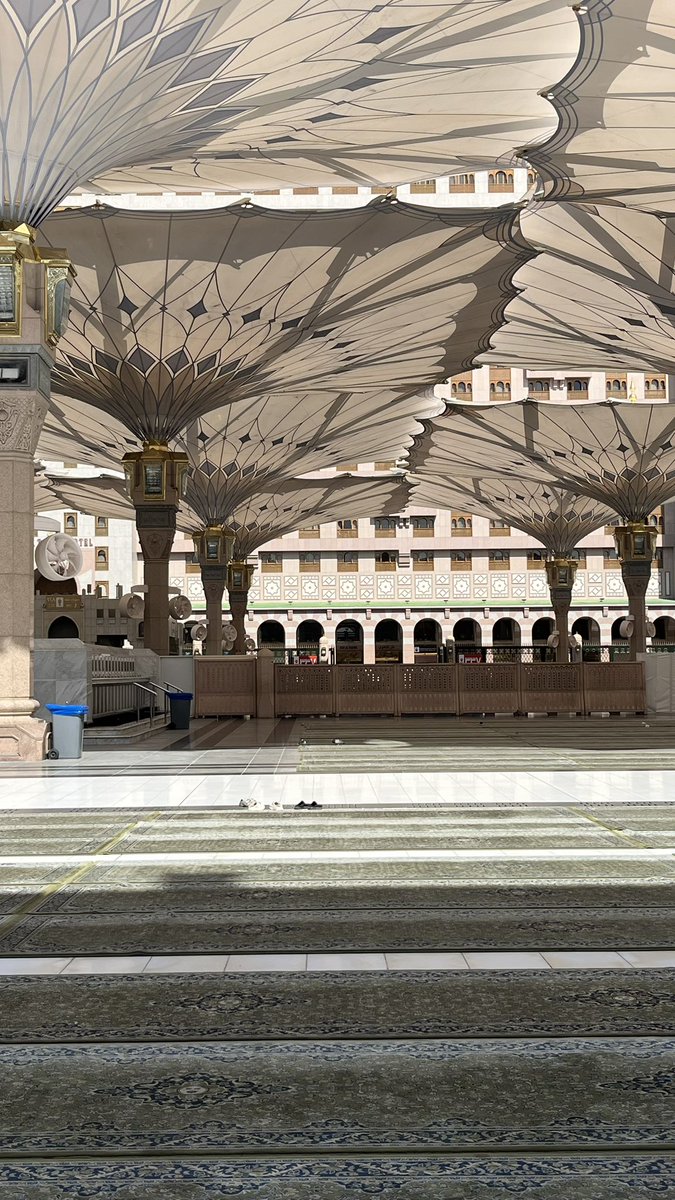 da_x988's tweet image. 🤍