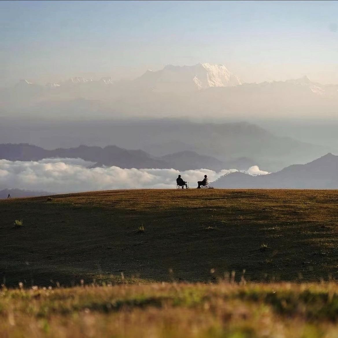 Butterflless's tweet image. 