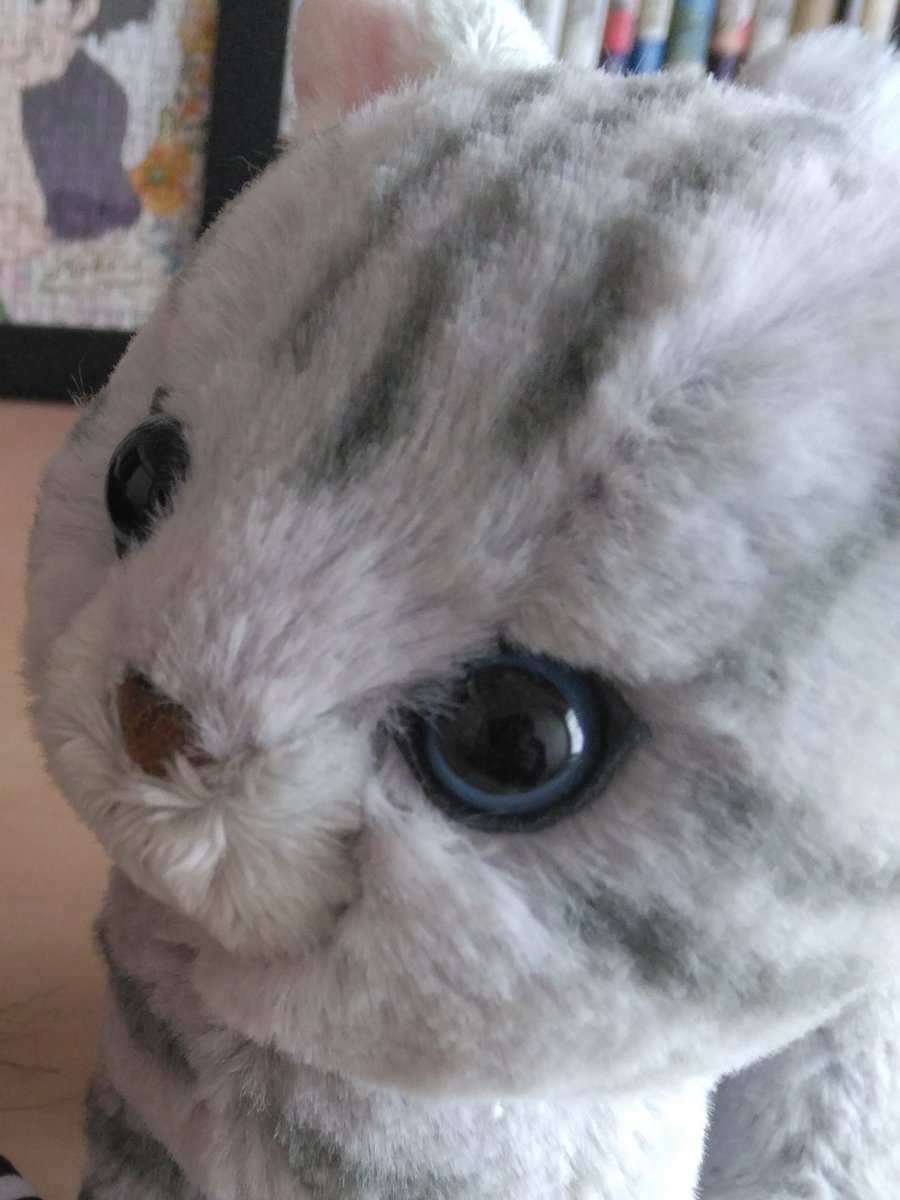 きょうじゅ…😿いきなり断捨離って…😿」