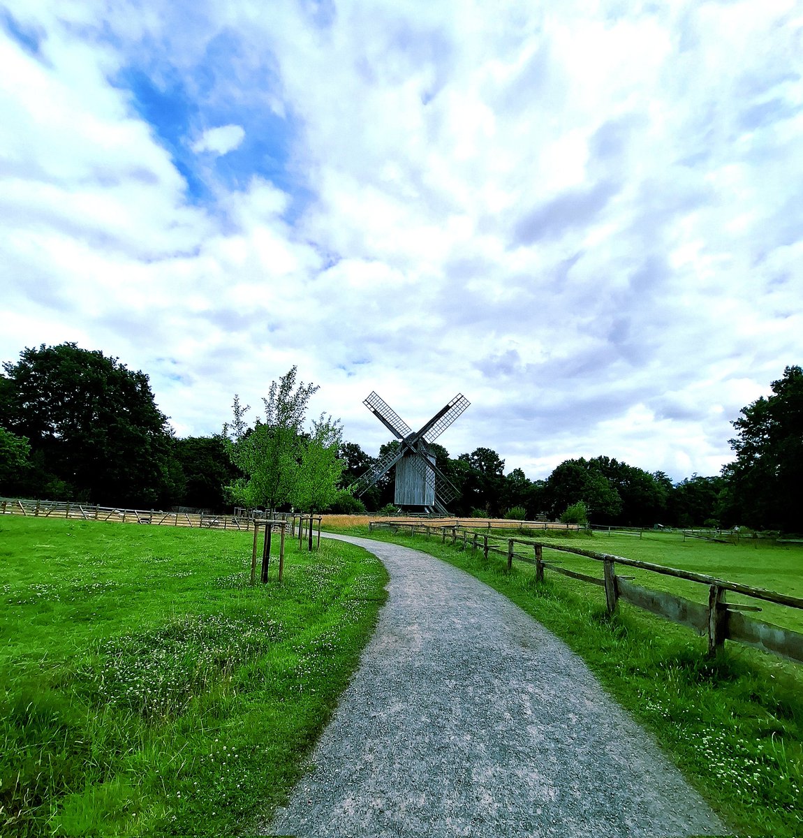 chriz31_07's tweet image. share something green from your gallery