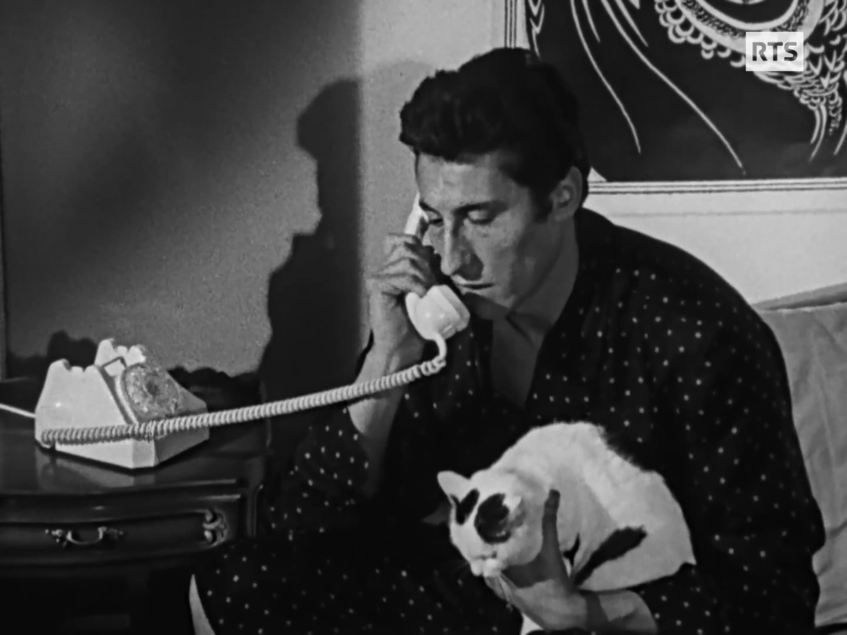 @RobinSandza tweet media