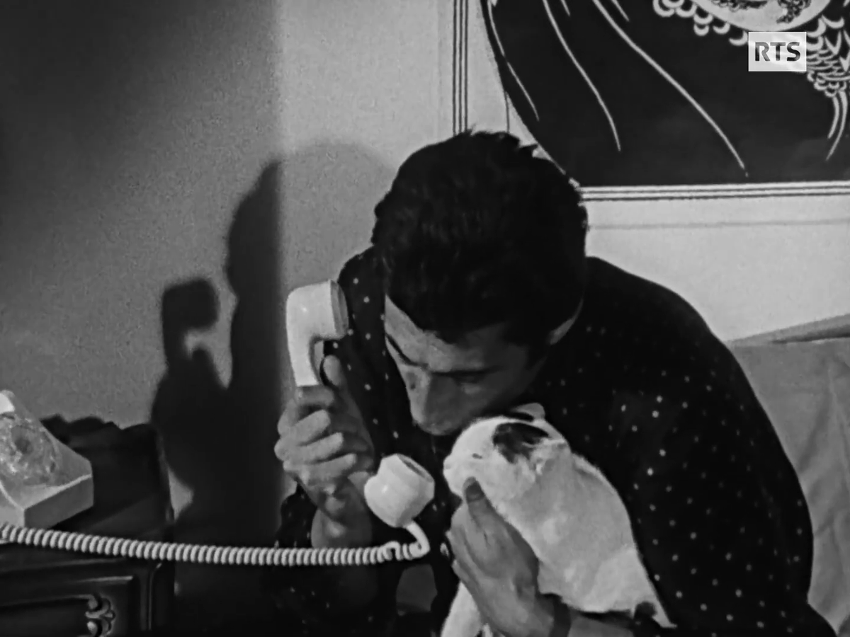 @RobinSandza tweet media