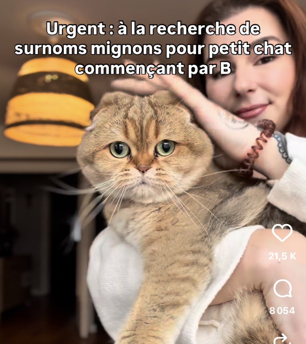 CH tweet media