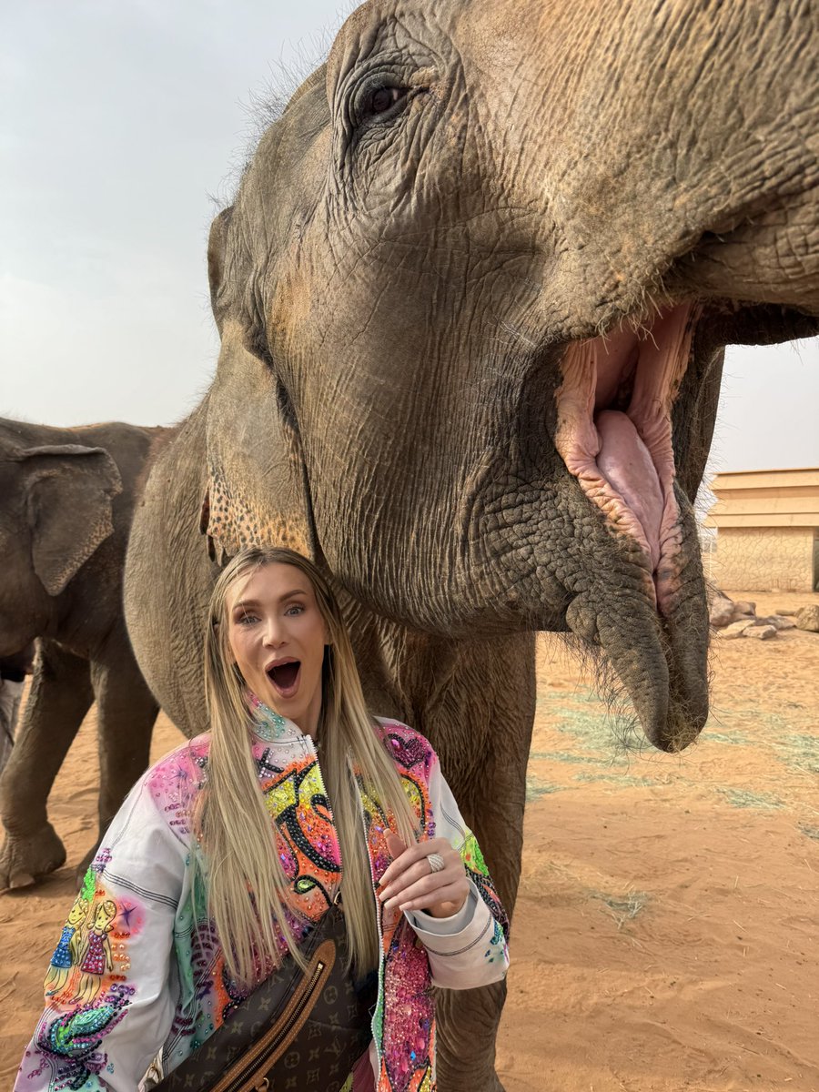 Charlotte Flair tweet media