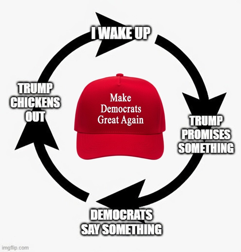 The Dark Kite tweet media