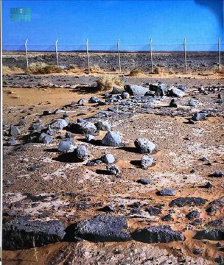 مهرجان الصقور بالحدود الشمالية tweet media