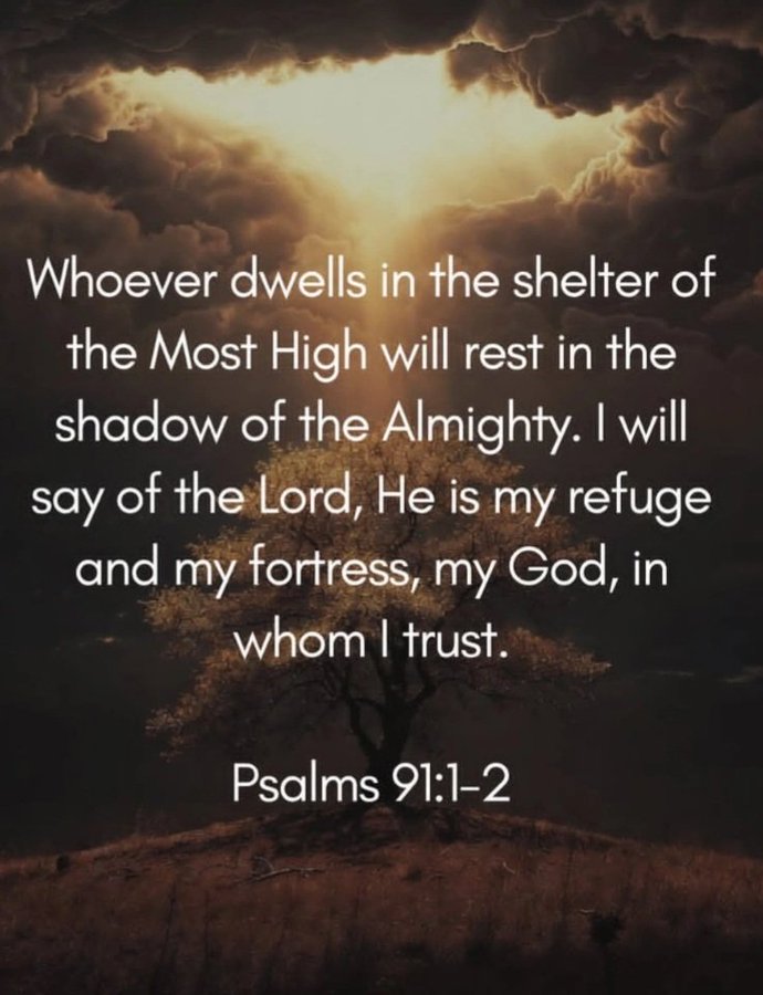 JOHNNY DIAMOND. tweet media