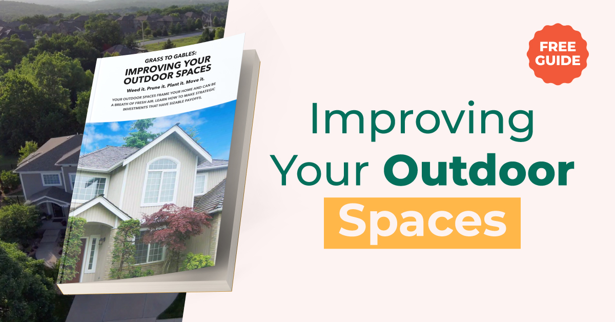 MarieAvery's tweet photo. Tired of Your Yard? We get it. 👍
 
This Free guide for homeowners will give you some great ideas on how to improve your outdoor spaces! 
 
Click to get this guide now! 🎯
 https://t.co/YYiLU8vRd1 https://t.co/oGJ5ekFu6P
